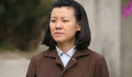 刘琳电视剧,从父母爱情到人世间，演绎时代女性的坚韧与柔情